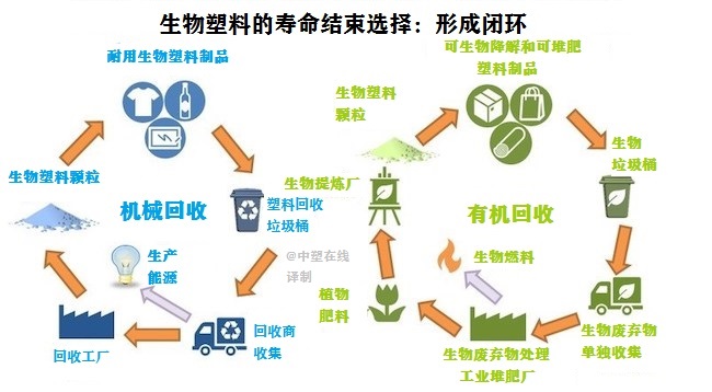 可降解和可回收塑料，哪種對環境更有利？(圖1)